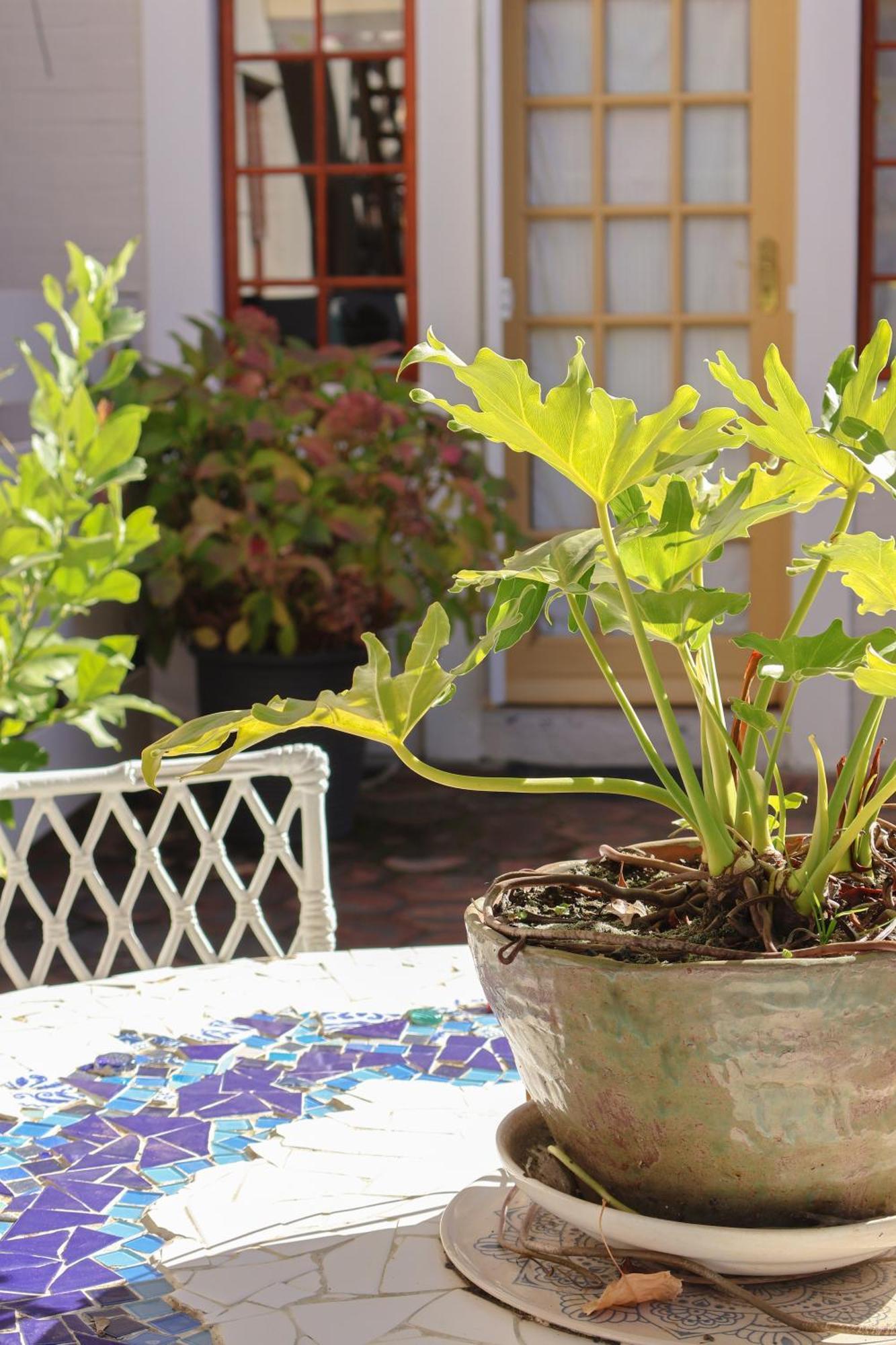 The Gate Guesthouse Clarens Ngoại thất bức ảnh